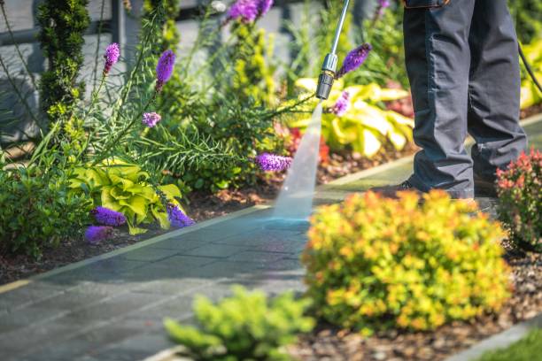 Best Fence Cleaning  in Fris, CO