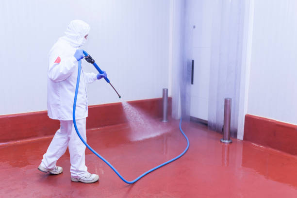 Best Spring Cleaning  in Fris, CO