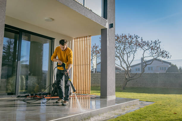 Best Gutter Cleaning  in Fris, CO