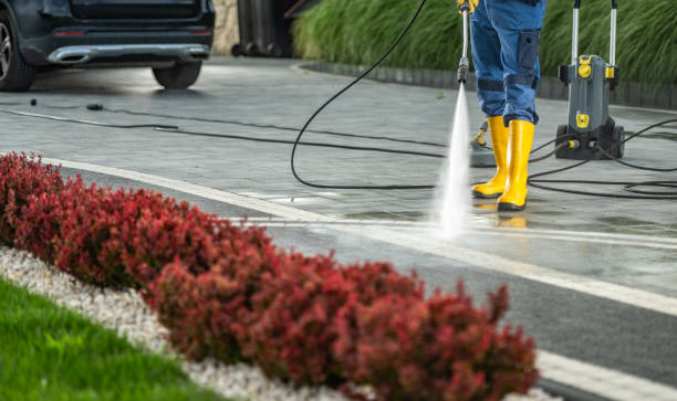 Best Roof Washing  in Fris, CO